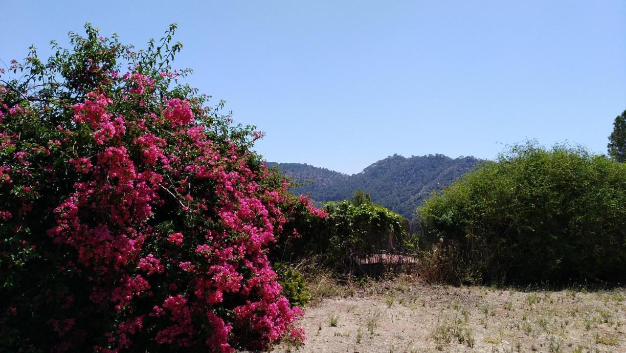 Chalet Montprats, Serra מראה חיצוני תמונה